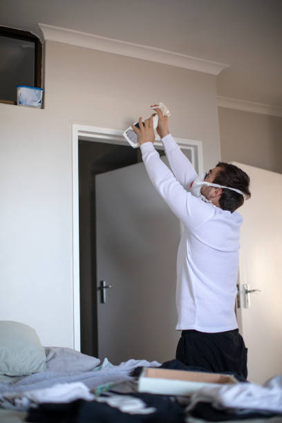 Trusted Collinsville, OK Mold Removal Experts