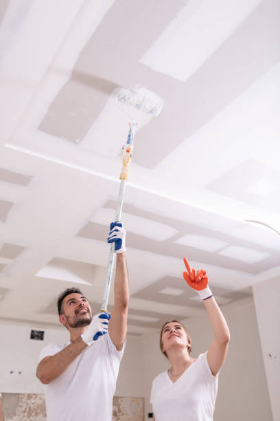 Best Mold Damage Restoration  in Collinsville, OK