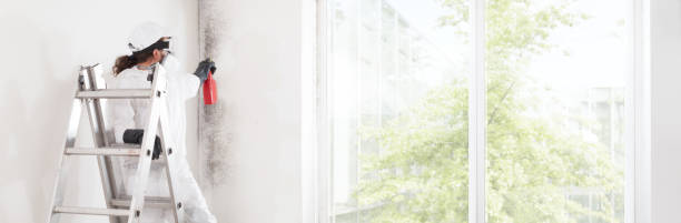 Best Industrial Mold Remediation  in Collinsville, OK